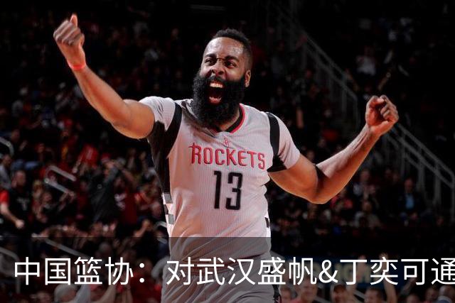 中国篮协：对武汉盛帆&丁奕可通报批评 给予丁奕可停赛8场处罚