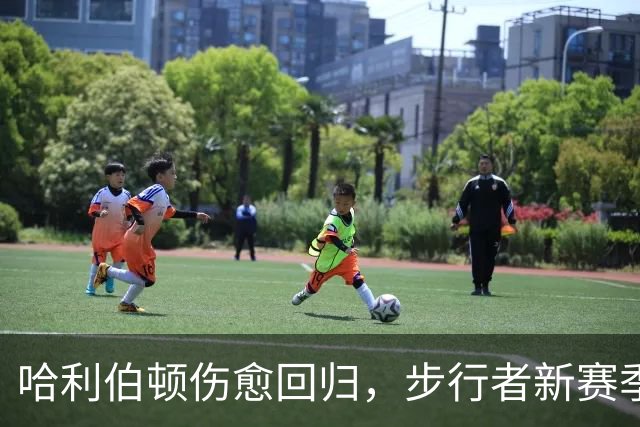 哈利伯顿伤愈回归，步行者新赛季观赛指南来了
