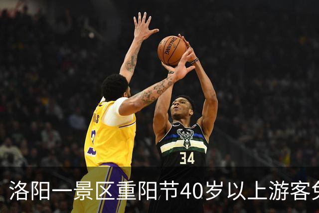 洛阳一景区重阳节40岁以上游客免门票 景区：并非定义40岁以上为老人，借节日吸引中年人携家人游览