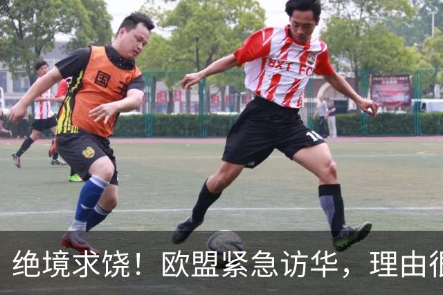 绝境求饶！欧盟紧急访华，理由很直接，阿斯麦再撑不住就要崩盘了