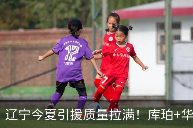 辽宁今夏引援质量拉满！库珀+华子场均42分，克里斯也能稳内线！