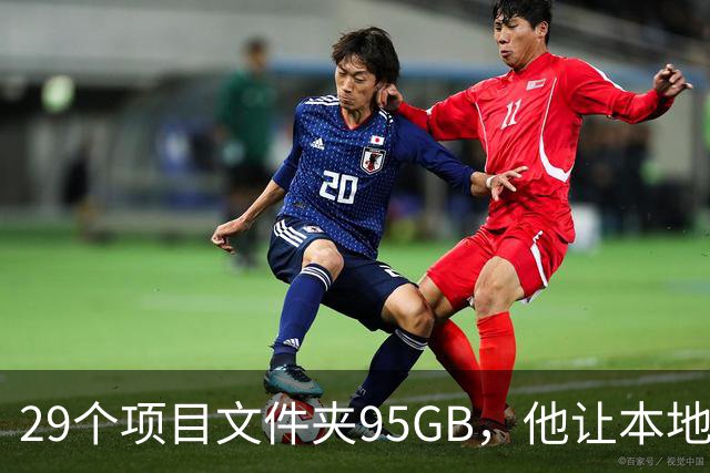 29个项目文件夹95GB，他让本地模型逐个判生死